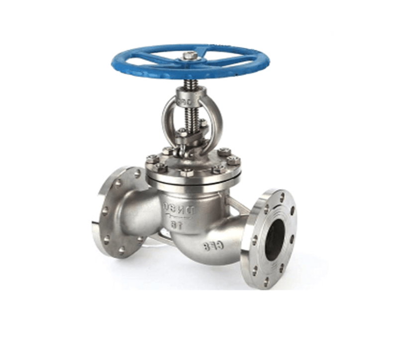 Stainless steel globe valve