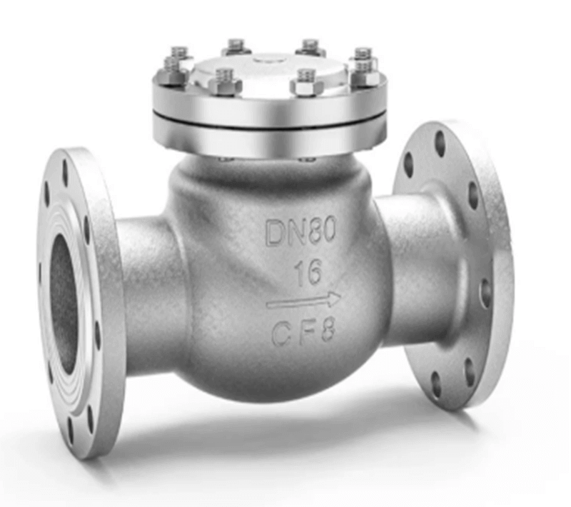 Stainless steel swing check valve