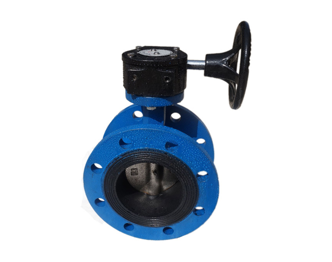 Flanged Concentric Butterfly Valve