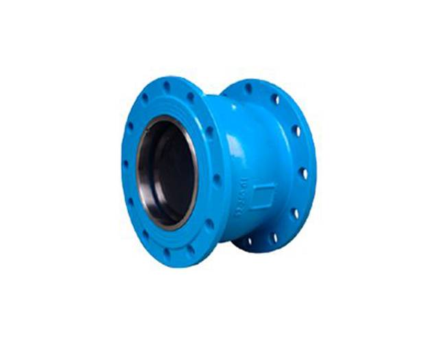 Check Valve