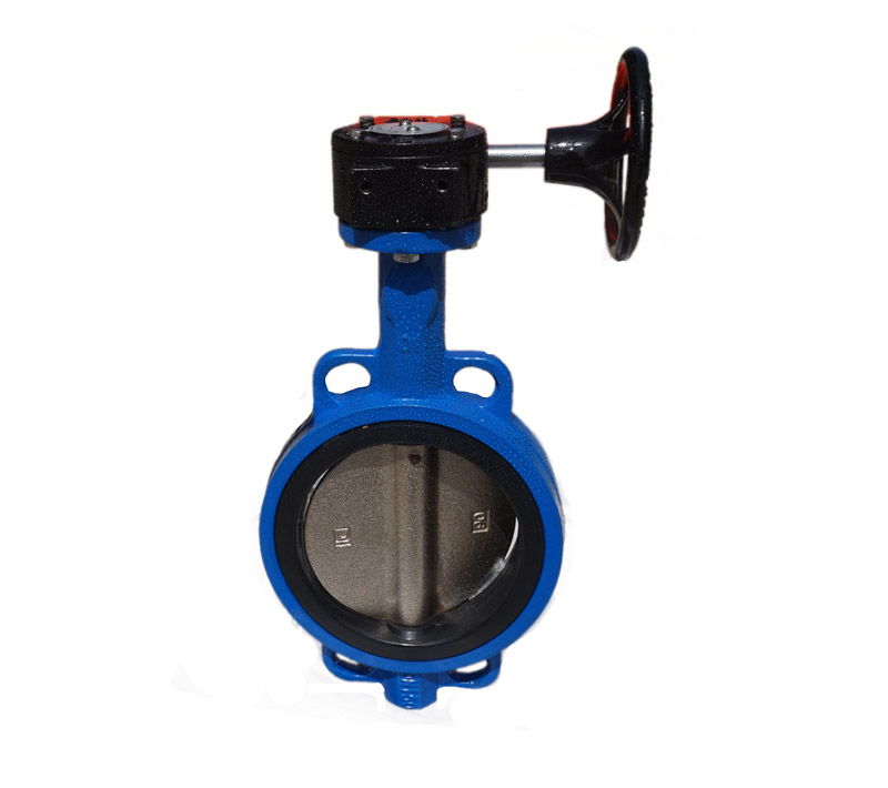 DI Wafer Type Butterfly Valve