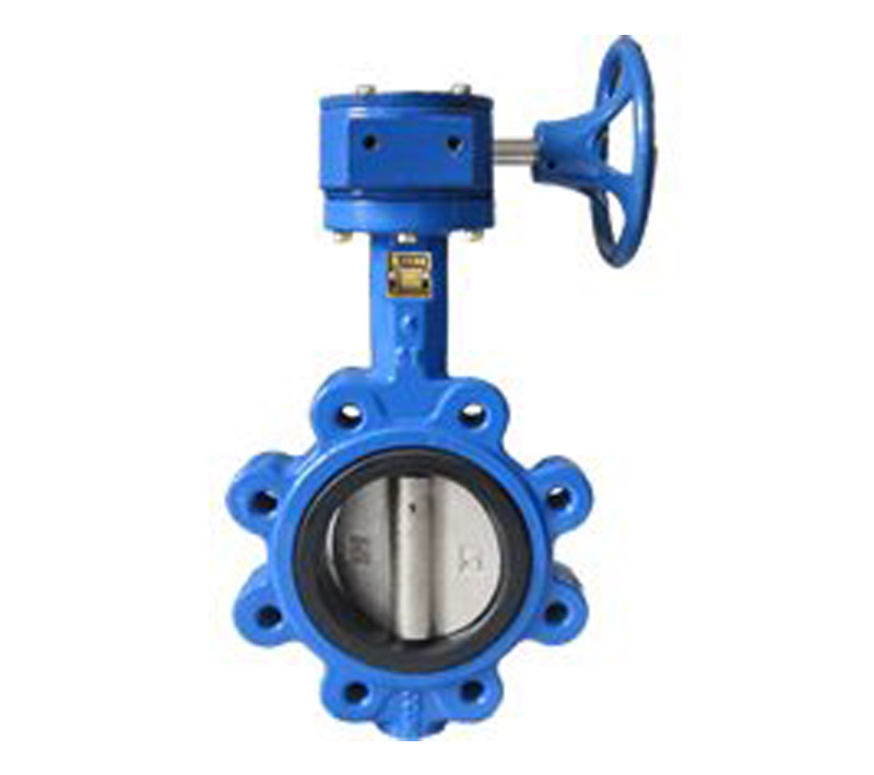 Lug Type Butterfly Valve