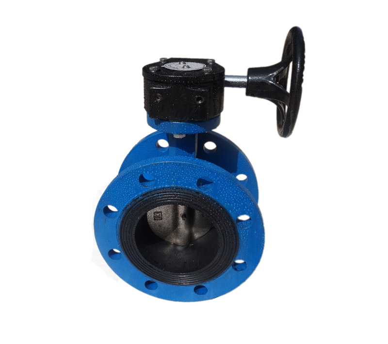 Flanged Concentric Butterfly Valve