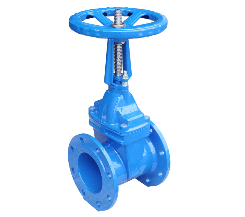 China Rising Stem Resilient Seated Gate Valve